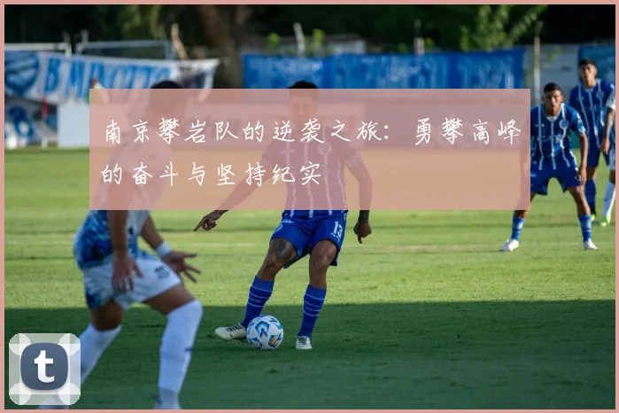 南京攀岩队的逆袭之旅：勇攀高峰的奋斗与坚持纪实