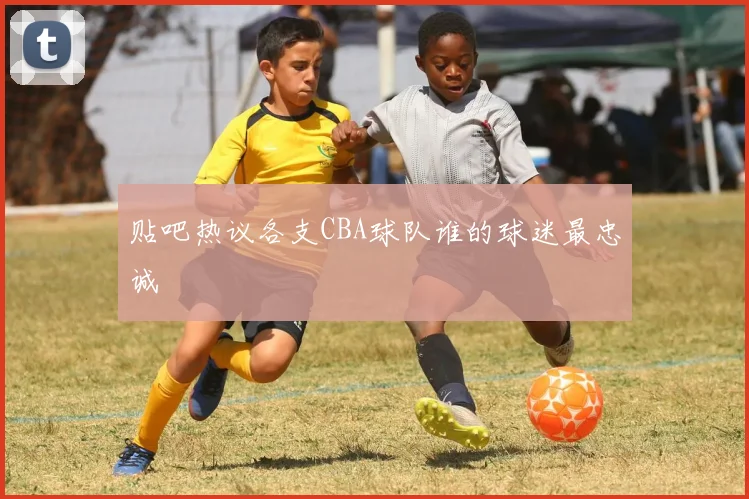 贴吧热议各支CBA球队谁的球迷最忠诚