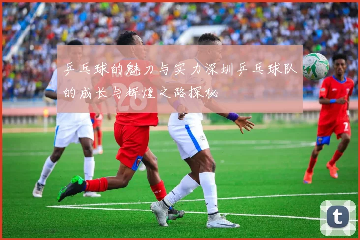 乒乓球的魅力与实力深圳乒乓球队的成长与辉煌之路探秘